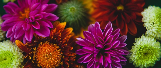 太阳报：比苏马被拍到再次吸食笑气，热刺正在进行调查