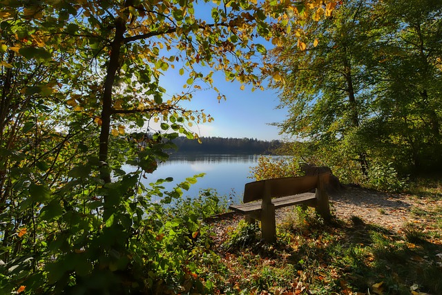 罗马诺：萨德提高对曼奇尼的报价，双方已重新开始谈判